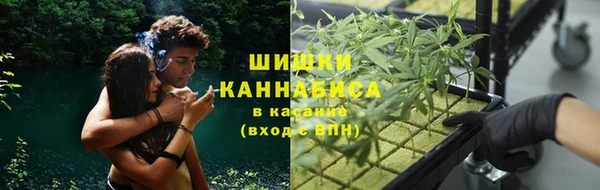 прущая мука Алзамай