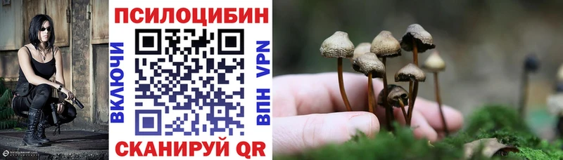 купить наркоту Алейск Псилоцибиновые грибы Magic Shrooms