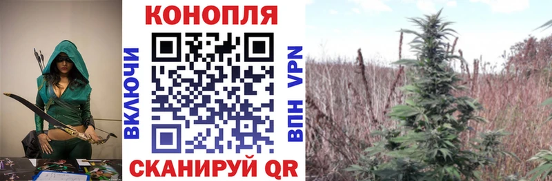 Бошки марихуана планчик  Алейск 